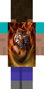 SF020.png