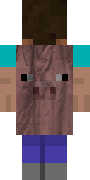 SFPig.png