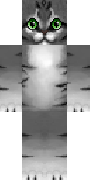 504889e399a6c8cf83ffc1bdbb90c029.png