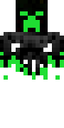 Max25256.png