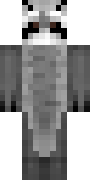Raccoon.png