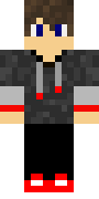 SANEL.png
