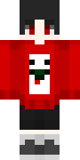 SkanBR.png