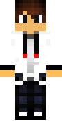Ziggie500.png