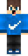 iRaidyHero.png