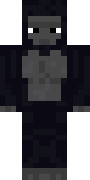 s1s.png