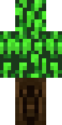 AidyS.png
