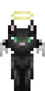 Dast.png