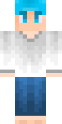 Lokki.png