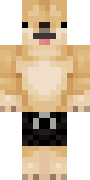 Nindza.png