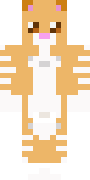 cat505.png