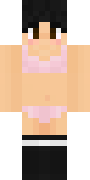 cice_pro.png