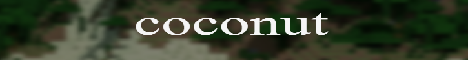 Баннер сервера Minecraft Coconut