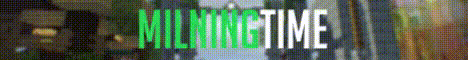 Баннер сервера Minecraft MiLningTime