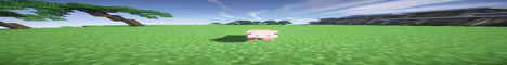 Баннер сервера Minecraft Pikmi
