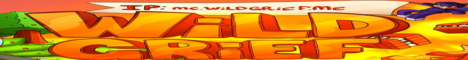Баннер сервера Minecraft WildGrief