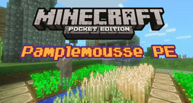 Скачать Pamplemousse для Minecraft PE 1.1