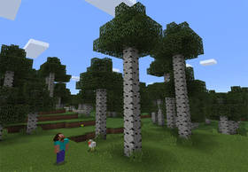 432666080: Редкий высокий березовый лес | Сид Minecraft PE