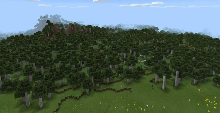 432666080: Редкий высокий березовый лес скриншот 2
