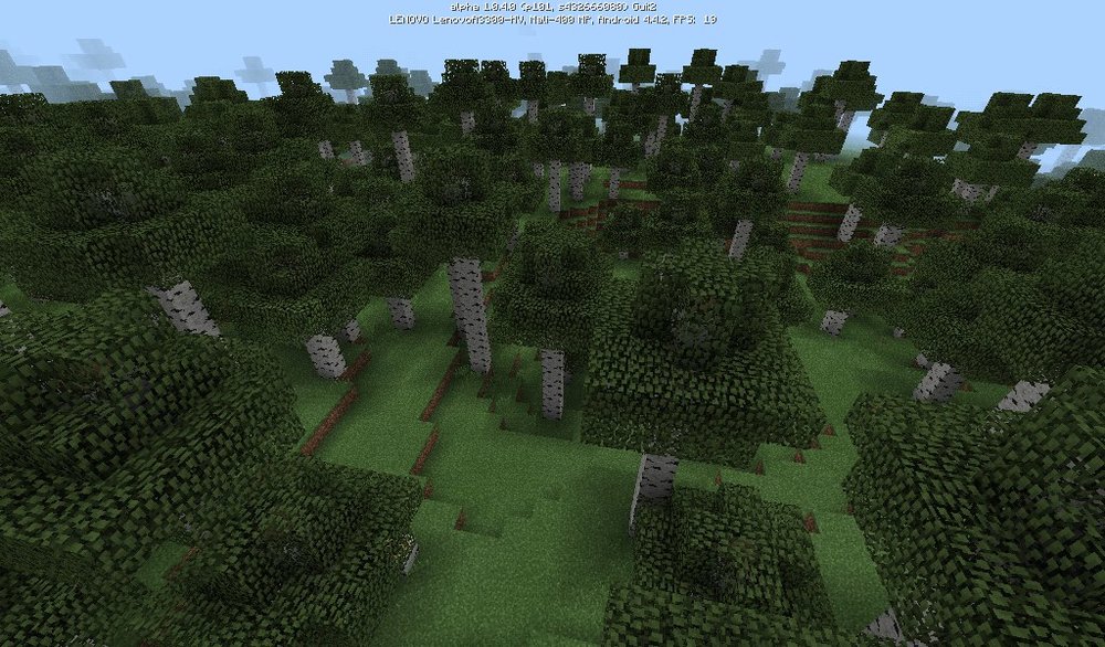 432666080: Редкий высокий березовый лес скриншот 3