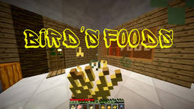 Скачать Bird's Foods для Minecraft 1.12.2