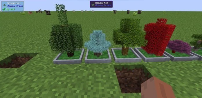 Bonsai Trees скриншот 2