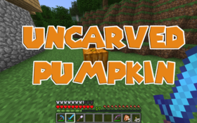 Скачать Uncarved Pumpkin для Minecraft PE 1.1