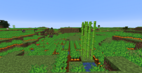 Скачать Dadobug1111's Biomes для Minecraft 1.16.5