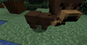 Скачать Grizzly bear для Minecraft 1.16.5