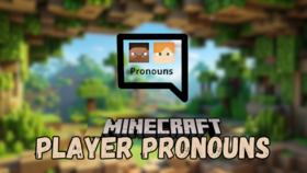 Скачать Player Pronouns для Minecraft 1.21.4