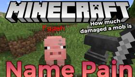 Скачать Name Pain для Minecraft 1.21.4