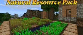 Скачать Natural для Minecraft 1.21.5