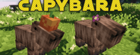 Скачать Capybara для Minecraft 1.21.5