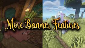 Скачать More Banner Features для Minecraft 1.21.8