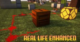 Скачать Real Life Enhanced для Minecraft 1.21.8