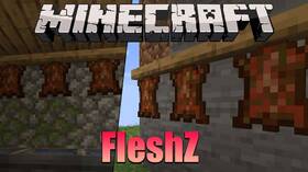 Скачать FleshZ для Minecraft 1.18.2