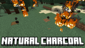 Скачать Natural Charcoal для Minecraft 1.21.11