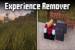 Скачать Experience Remover для Minecraft 1.21.11