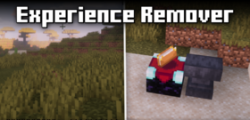 Скачать Experience Remover для Minecraft 1.21.11