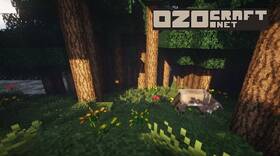 Скачать OzoCraft для Minecraft 1.21.11