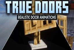 Скачать True Doors для Minecraft 26.3
