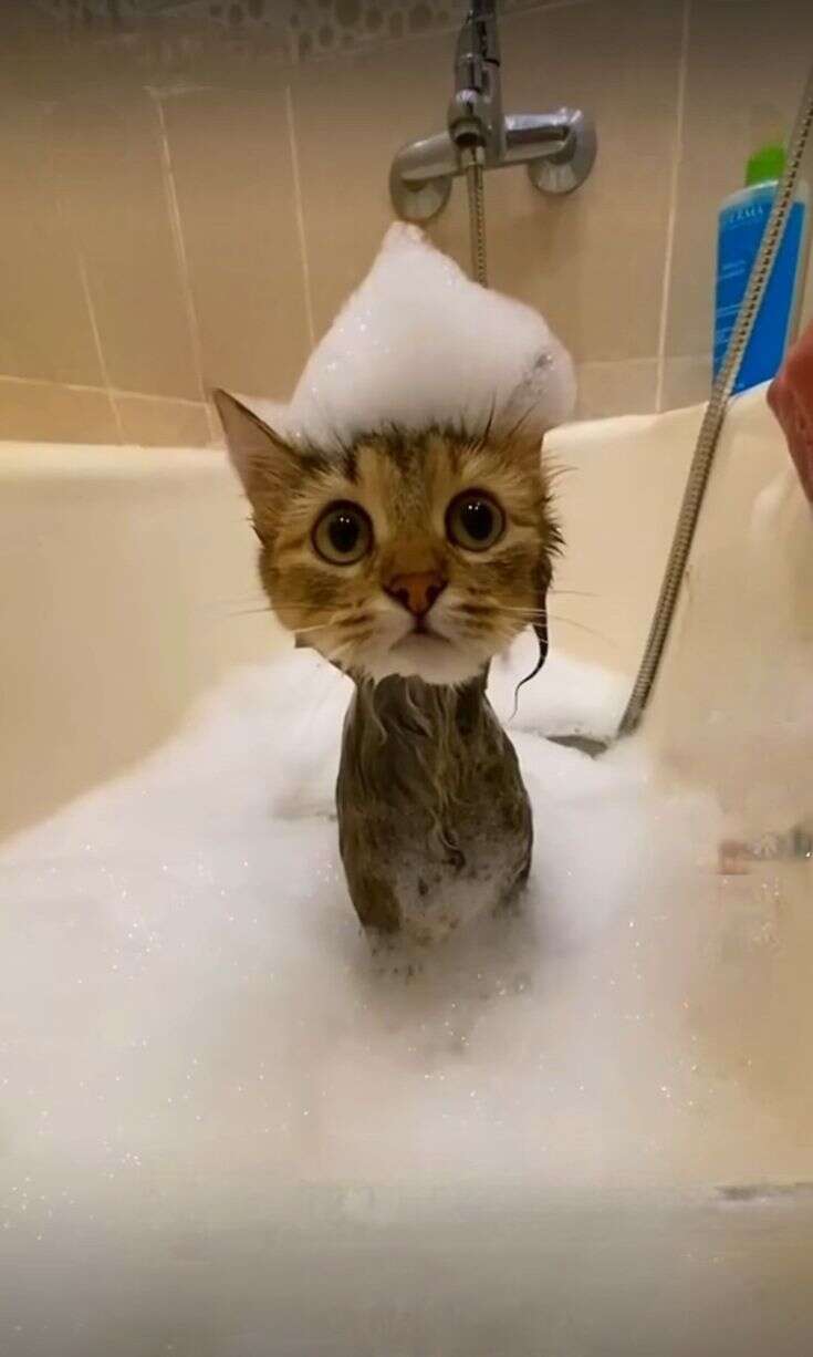 Скриншот #1 RHE3HAIO