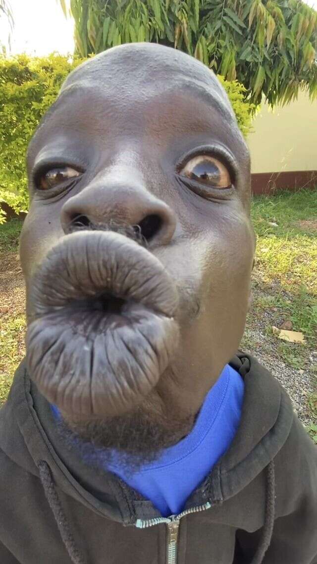 Скриншот #4 Топ