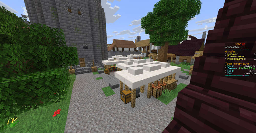 Скриншот #4 NODE MC