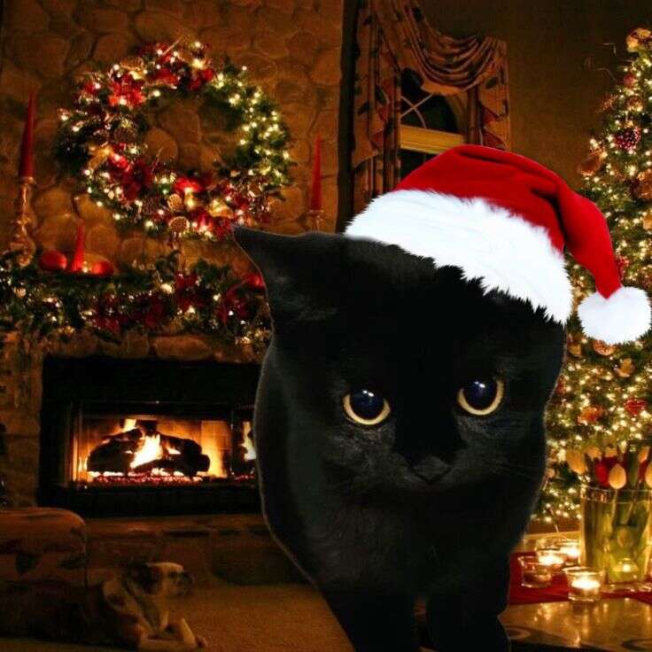 Скриншот #1 Motrid