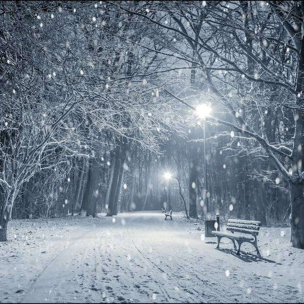 Скриншот #2 snewokwok