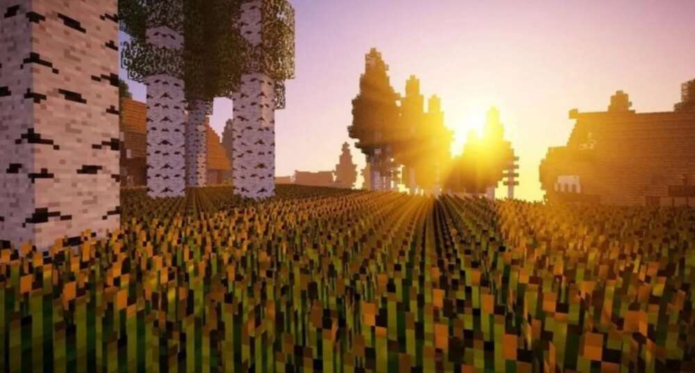 Скриншот #2 BintCraft
